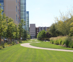 Fire Lane at Kaiser Permanente in Anaheim, CA Paved With Drivable Grass®