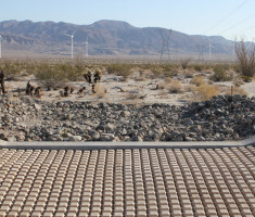 Drivable Grass® Pavement at the Ocotillo Express Wind Project