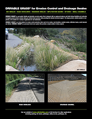 swale-drainage-flyer