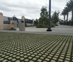 Fire Lane with Drivable Truf® in Dana Point, CA