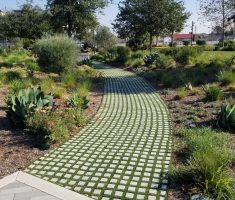 Drivable Grass®️ with Pre-Cut Turf_Pathway Beyond Meat HQ_El Segundo