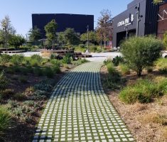 Drivable Grass®️ with Pre-Cut Drivable Turf®️_Pathway_Beyond Meat HQ_El Segundo, CA