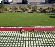 Drivable Grass®️ with Pre-Cut Drivable Turf®️_Fire Lane Beyond Meat HQ_El Segundo