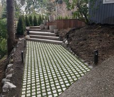 Drivable Grass with Turf_WA